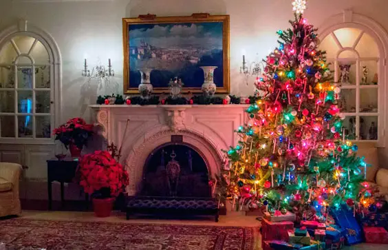 Electric tree lights at the Eisenhower White House while sweating.